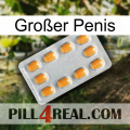 Großer Penis cialis3